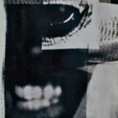 Cyanotype Print