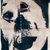 Cyanotype Print