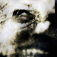Cyanotype Print