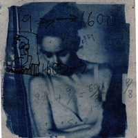Cyanotype Print