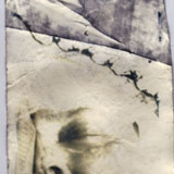 Cyanotype Print