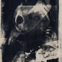 Cyanotype Print