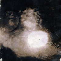 Cyanotype Print