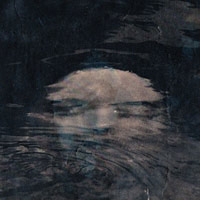 Cyanotype Print