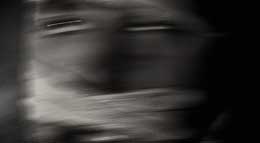 Succedaneum, Replacent Portraits